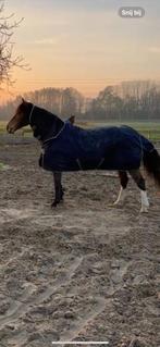 Bucas smartex medium deken met stay dry voering maat 145/195, Ophalen of Verzenden, Gebruikt, Deken