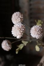 Dahlia white M Dahlia white M Dahlia white M, Www.jufbrocante.nl, Www.jufbrocante.nl, Nieuw, Ophalen of Verzenden