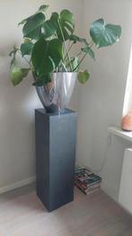 Planten zuil, Huis en Inrichting, Woonaccessoires | Zuilen en Pilaren, Ophalen, Gebruikt