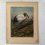 Claes Huusman - pastel tekening Heilige Ibis., Ophalen of Verzenden