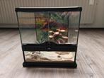 Exo Terra 30x30x30 terrarium, Dieren en Toebehoren, Reptielen en Amfibieën | Toebehoren, Ophalen, Zo goed als nieuw, Terrarium of Paludarium