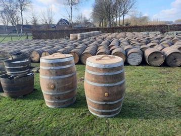 dompelton ijston ijsbad tobbe eiken 190/225/300/450/550 L beschikbaar voor biedingen