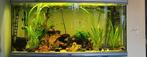 Aquarium 240 liter te koop - Juwel