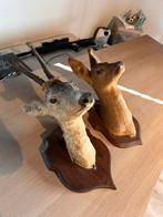 Reeënkop op schild (setje) uit Frankrijk, Ophalen of Verzenden