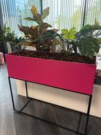 2xPlantenbak met zijdeplanten - Fuchsia Roze - Eindhoven, Ophalen, Overige materialen, 100 cm of meer, Zo goed als nieuw