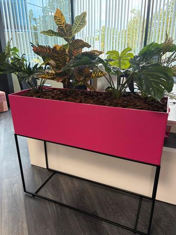 2xPlantenbak met zijdeplanten - Fuchsia Roze - Eindhoven beschikbaar voor biedingen