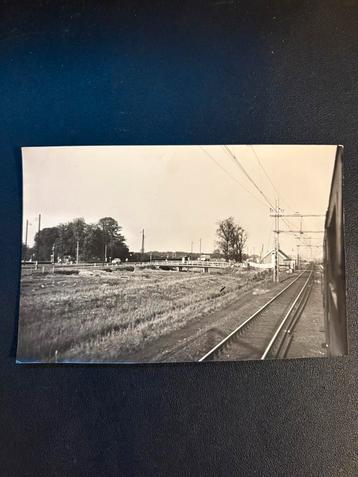 Grote foto vanuit rijdende trein bij Halfweg (1964) beschikbaar voor biedingen