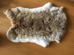 Vachtje, Minder dan 50 cm, Gebruikt, Minder dan 50 cm, Ophalen of Verzenden