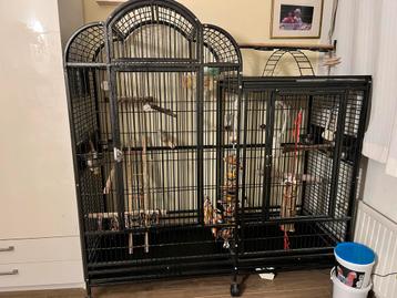 Zeer grote vogelkooi voor 1 of 2 papagaaien beschikbaar voor biedingen