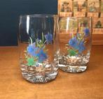 Vintage glazen, Ophalen of Verzenden, Zo goed als nieuw, Frisdrankglas
