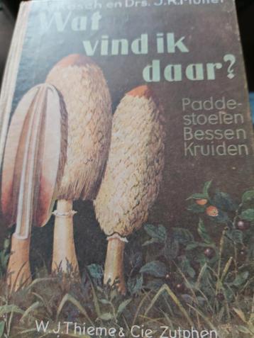 Wat vind ik daar.  van A. Kosch beschikbaar voor biedingen