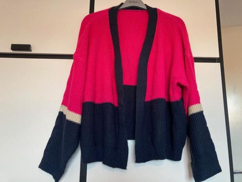 Vest ZGAN dames roze zwart openvallend maat 50-52, Kleding | Dames, Truien en Vesten, Zo goed als nieuw, Maat 46/48 (XL) of groter