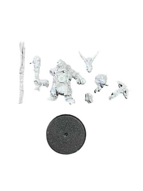 Warhammer Age of Sigmar Ogor Mawtribes Icebrow Hunter, Hobby en Vrije tijd, Wargaming, Zo goed als nieuw, Warhammer, Figuurtje(s)