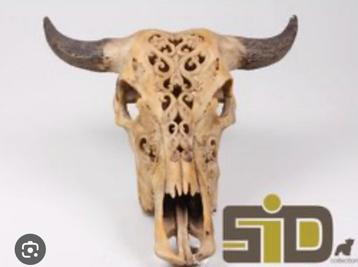 Wanddecoratie Skull beschikbaar voor biedingen