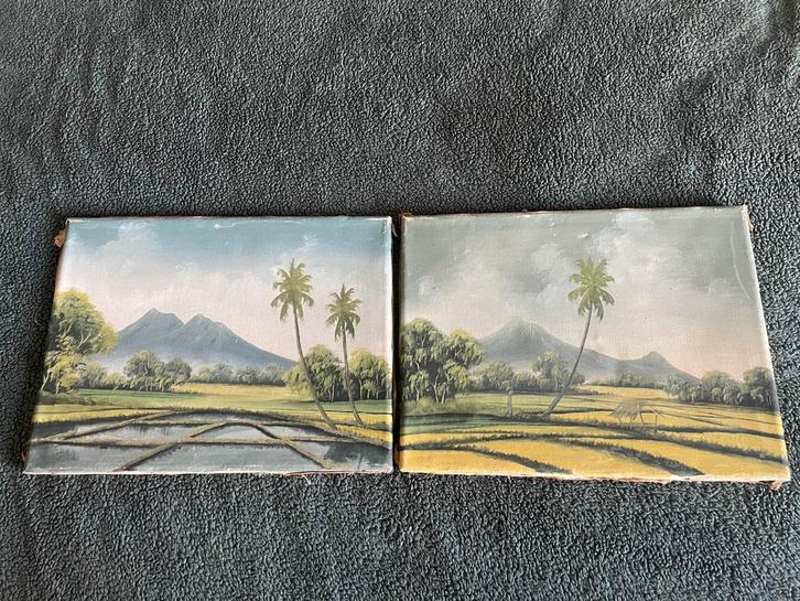 Schilderijen op doek uit voormalig Indië. 40x30 cm., Antiek en Kunst, Kunst | Schilderijen | Klassiek, Ophalen of Verzenden
