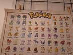 Pokemon poster, Ophalen of Verzenden, Rechthoekig Staand, Film en Tv