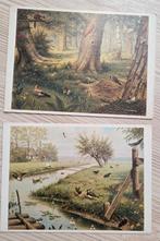 Kinderpostzegel Anzichtkaarten M.A. Koekkoek, Ophalen of Verzenden, Ongelopen