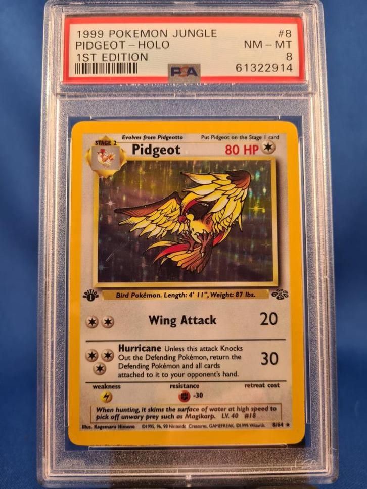 Pidgeot 8/64 - Jungle (1st edition) (PSA 8), Hobby en Vrije tijd, Verzamelkaartspellen | Pokémon, Gebruikt, Verzenden