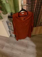 Sissy Boy Maat XL 🟢, Ophalen of Verzenden, Zo goed als nieuw, Maat 46/48 (XL) of groter, Korte mouw