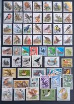 POSTZEGELS VOGELS WERELD GESTEMPELD, Postzegels en Munten, Postzegels | Thematische zegels, Verzenden, Gestempeld, Dier of Natuur