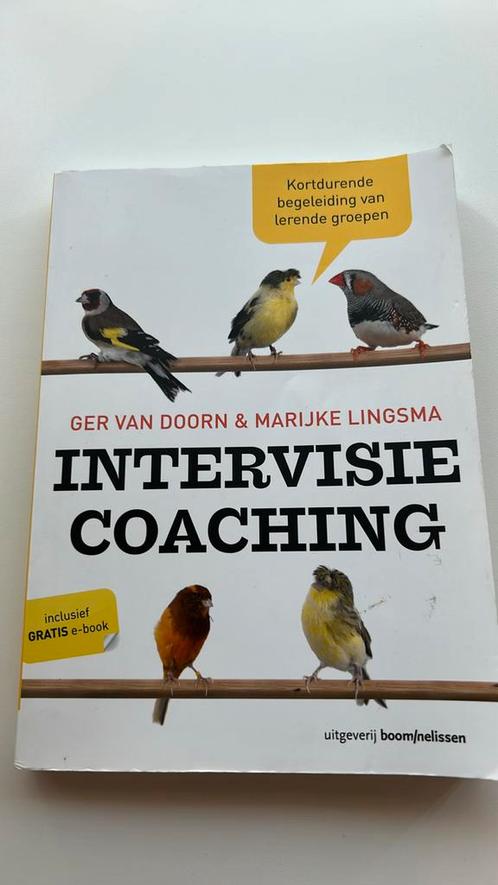 Ger van Doorn - Intervisiecoaching, Boeken, Advies, Hulp en Training, Zo goed als nieuw, Ophalen of Verzenden