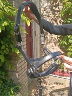 Gloednieuw echt leren halster van AroEqui Cob, Dieren en Toebehoren, Paarden en Pony's | Overige Paardenspullen, Ophalen of Verzenden