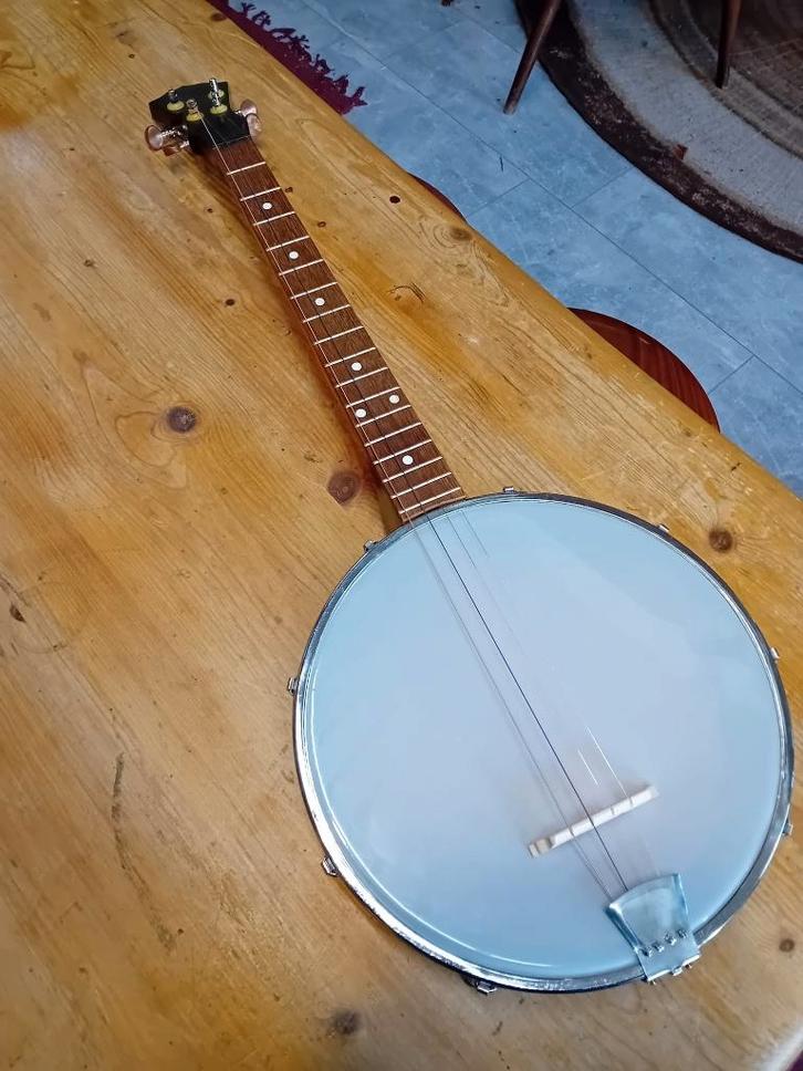 Ierse tenor banjo, Muziek en Instrumenten, Snaarinstrumenten | Banjo's, Gebruikt, Overige typen, Ophalen of Verzenden