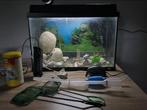 Compleet aquarium met toebehoren + automatische voeder, Ophalen, Zo goed als nieuw, Leeg aquarium