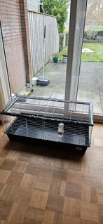 Grote kooi voor cavia/konijn, Dieren en Toebehoren, Kooi, Zo goed als nieuw, Konijn, 75 tot 110 cm