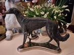 Barsoi..Russische windhond, Ophalen of Verzenden, Zo goed als nieuw, Mens