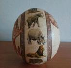 Struisvogel  , struis vogel ei big five afrika  , afrikaanse, Ophalen of Verzenden