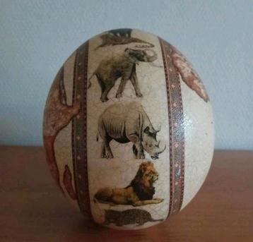 Struisvogel  , struis vogel ei big five afrika  , afrikaanse beschikbaar voor biedingen