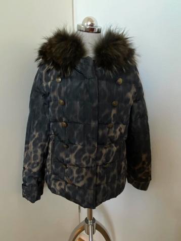 BETTY BARCLAY OUTDOOR DONS JACK MT: 40 beschikbaar voor biedingen