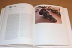Documenta 12 — Catalogus Hedendaagse Kunst, Boeken, Ophalen of Verzenden, Gelezen