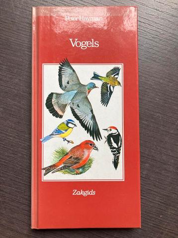 Vogels Zakgids - Peter Hayman beschikbaar voor biedingen