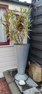 Hoge bloempot met oleander - 90 cm, Tuin en Terras, Bloempotten, Ophalen, Gebruikt, Balkon, Metaal