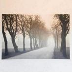 Ikea pjatteryd canvas weg met bomen 78 x 118 cm, Ophalen of Verzenden