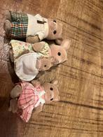 Sylvanian Families Kangoeroe Familie, Kinderen en Baby's, Speelgoed | Poppenhuizen, Ophalen, Gebruikt