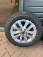 Wielen VW Transporter 2024, 205 mm, Nieuw, Banden en Velgen, 16 inch