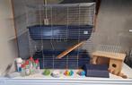 Dubbele kooi met veel accessoires, Dieren en Toebehoren, Kooi, Gebruikt, Minder dan 75 cm, Konijn