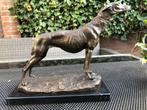 bronzen honden beeld greyhound windhond hazewindhond, Ophalen of Verzenden