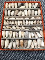 oude kleipijpen (bodemvondsten) met leuke afbeeldingen €15, Antiek en Kunst, Antiek | Keramiek en Aardewerk, Ophalen of Verzenden