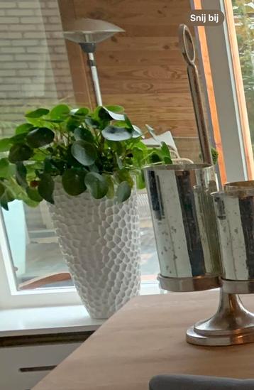 Vaas/bloempot 52 cm hoog beschikbaar voor biedingen