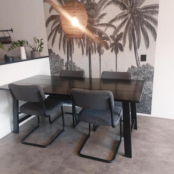 Eettafel + stoelen., Huis en Inrichting, Tafels | Eettafels, Gebruikt, 50 tot 100 cm, 150 tot 200 cm, Vijf personen of meer, Rechthoekig