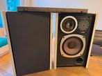 Vintage Bose Speakers, Gebruikt, Ophalen of Verzenden, Bose, Minder dan 60 watt