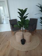 Kunstplant Ikea Tabaksplant, Ophalen