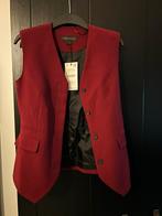 Nieuwe Zara gilet maat xs prijskaartje eraan. Zit als maat s, Overige kleuren, Zara, Nieuw, Ophalen of Verzenden