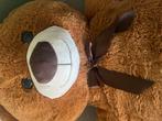 XXL Teddybeer (170cm) - Amper Gebruikt!, Kinderen en Baby's, Speelgoed | Knuffels en Pluche, Ophalen, Zo goed als nieuw, Beer
