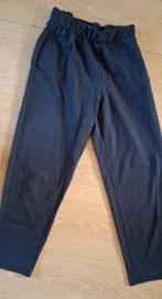 Max Mara Leisure vrijtijdsbroek, Blauw, Max Mara, Lang, Gedragen