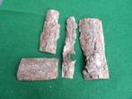 NIEUW 4 mooie grote droge stukken HOUTSCHORS ( 3 ), Ophalen of Verzenden, Nieuw, Materiaal